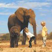 Elephant Interaction Experience, Pilanesberg Elephant Interaction Experience, Pilanesberg