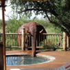 Etali Safari Lodge Etali Safari Lodge