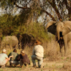 The Sanctuary Spafari Tour The Sanctuary Spafari Tour