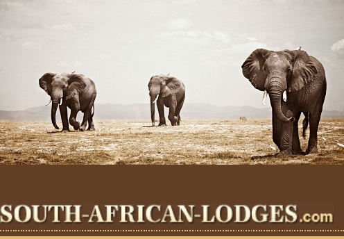 Giraffe Manor en Nairobi, Kenia