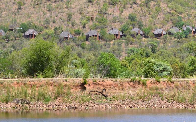 Mabalingwe Lodge in Nature Reserve