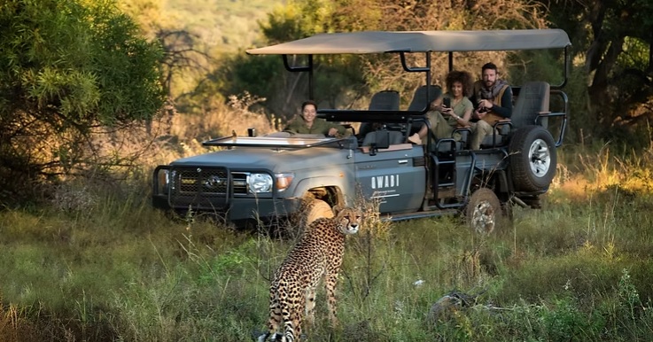Qwabi Game Reserve South Africa