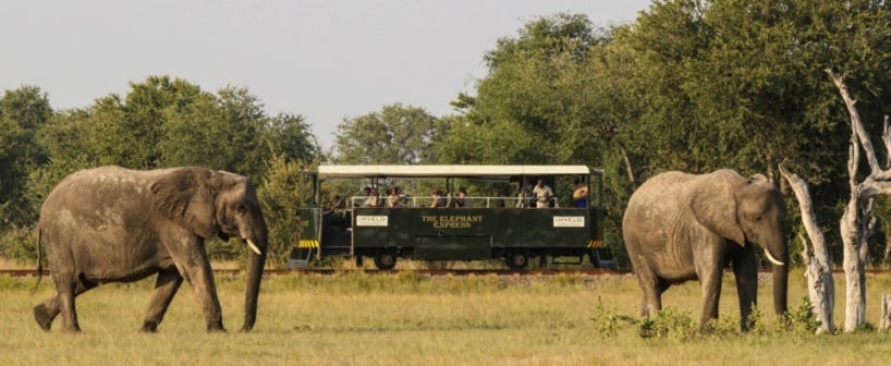 The Elephant Express