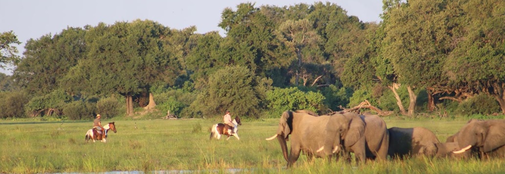 Bontsinsi Horse Safaris Okavango Delta Botswana