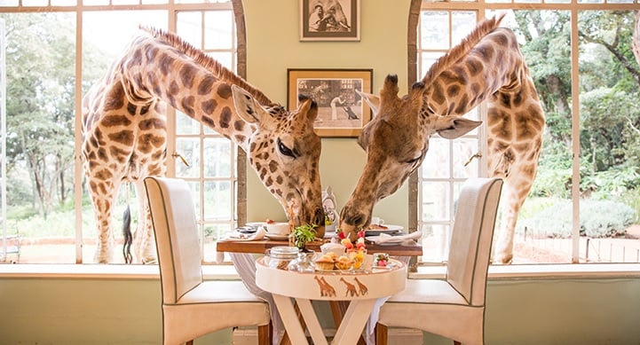 Giraffe Manor Hotel