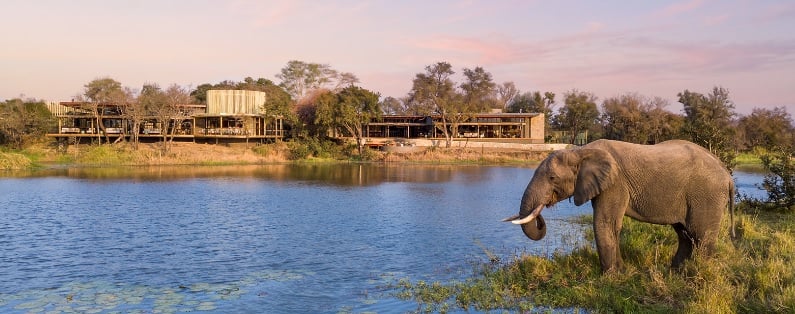 Sandringham Private Game Reserve South Africa