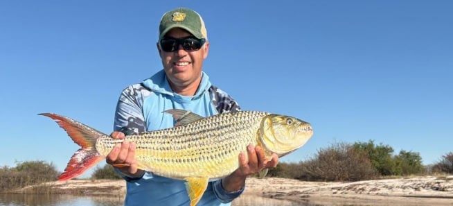 Tiger Fishing in Namibia Upper Zambezi