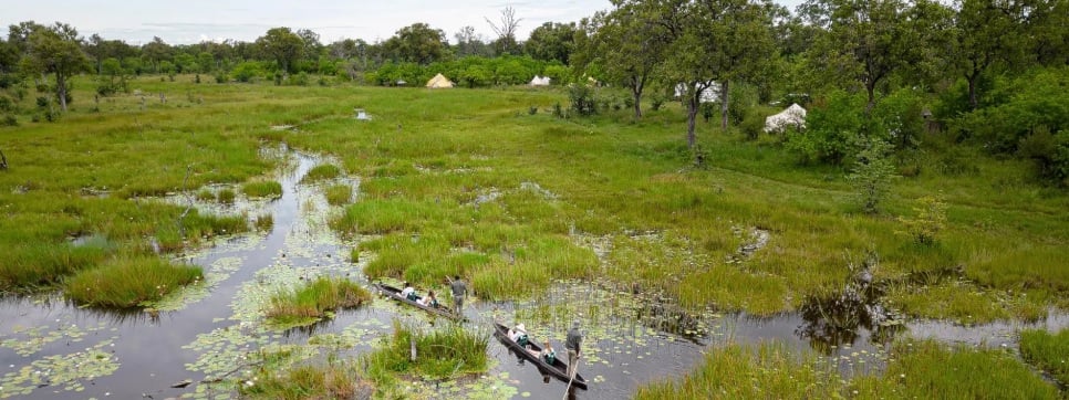 Feline Fields Vintage Camp Okavango Delta Botswana