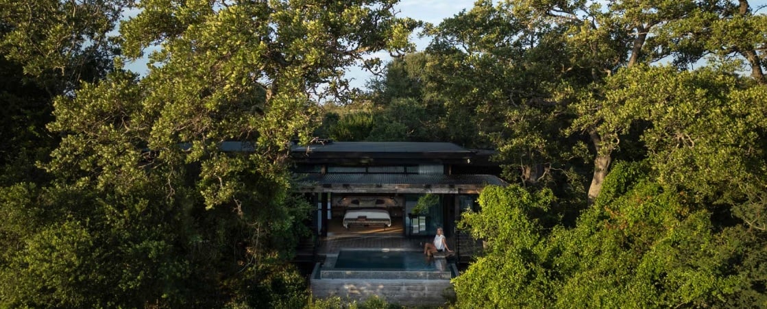 Tanda Tula Timbavati Lodge