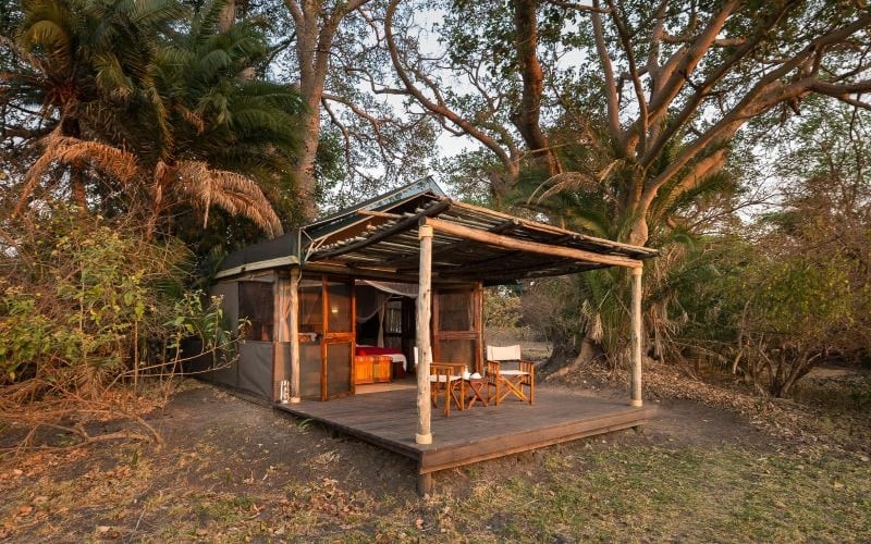 Wilderness Busanga Bush Camp