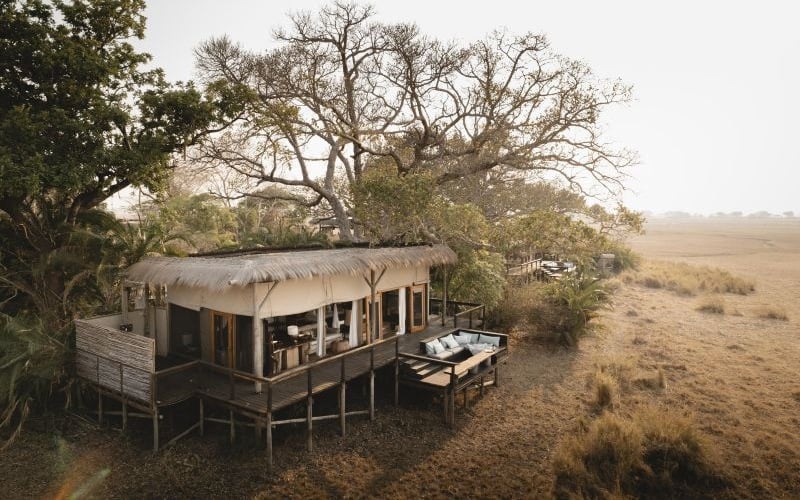 Wilderness Shumba