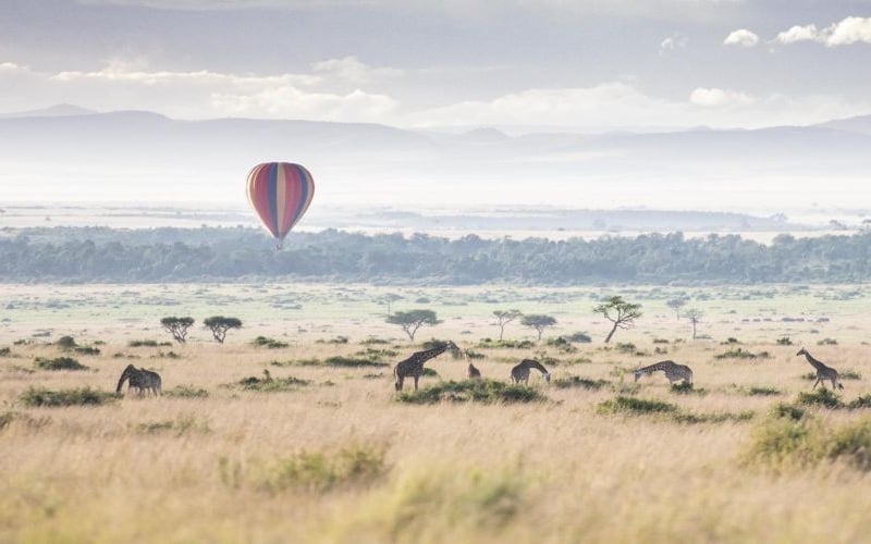 Wilderness Mara