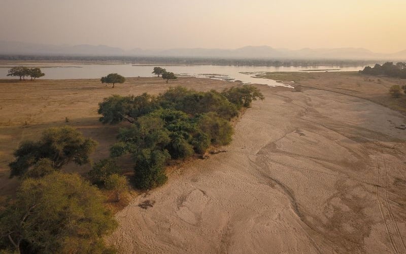 Wilderness Chikwenya