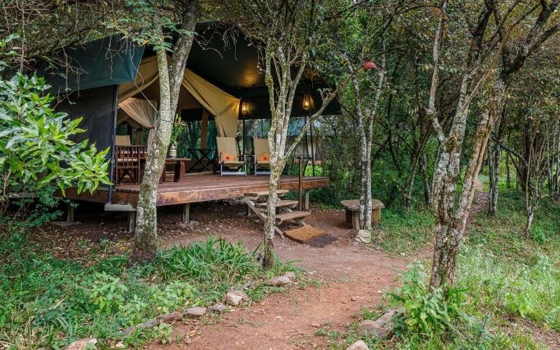 Soroi Mara Bush Camp