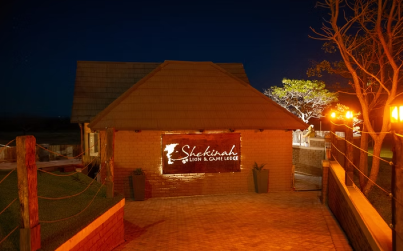 Shekinah Lion and Game Lodge