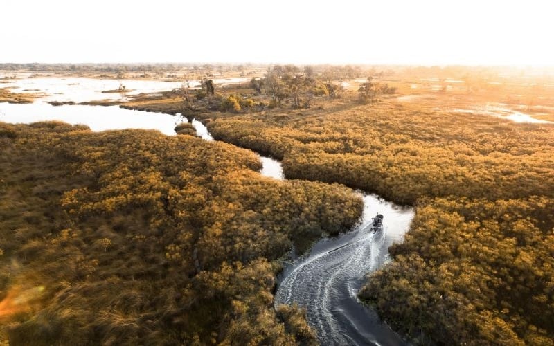 Vumbura Plains