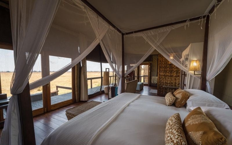 Wilderness Shumba