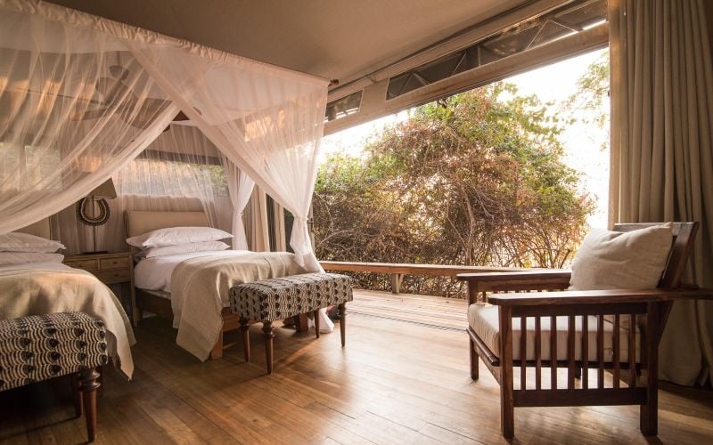 Wilderness Chikwenya