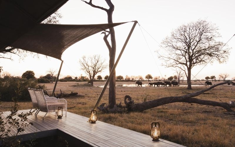 Wilderness Linkwasha