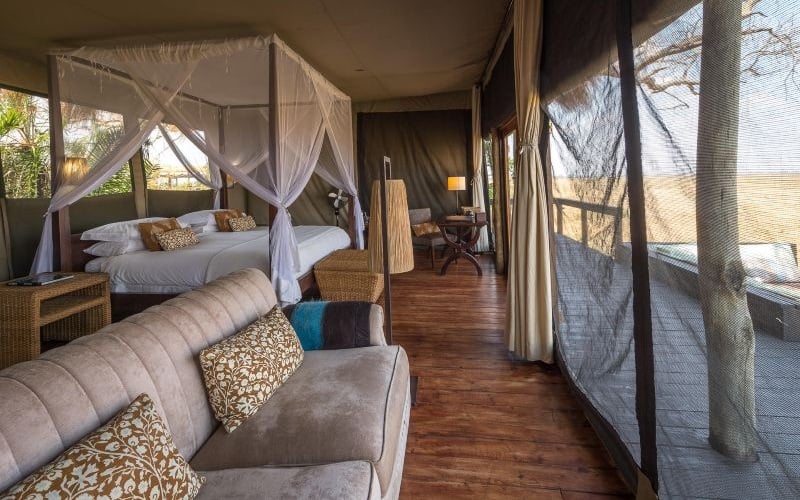 Wilderness Shumba