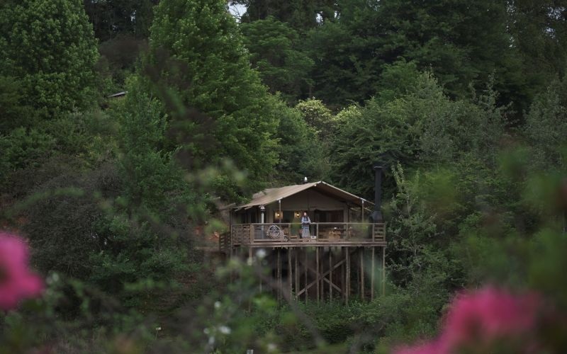 AfriCamps-Magoebaskloof-Tent