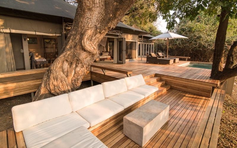 Wilderness Chikwenya