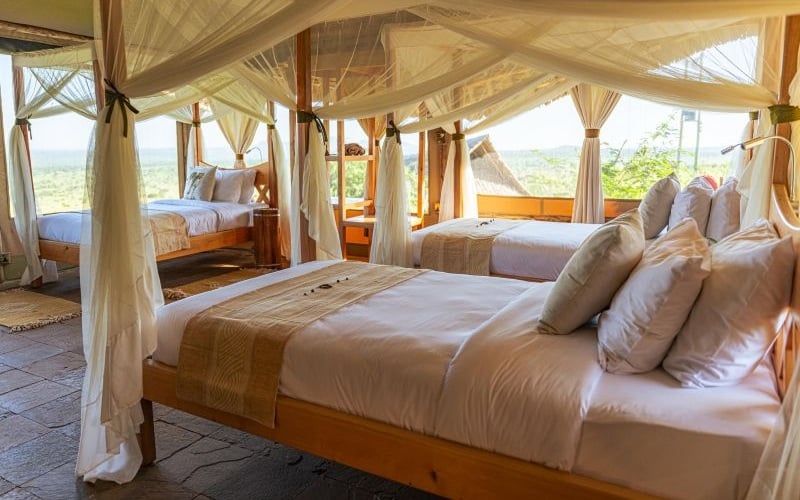 Soroi Cheetah Tented Camp