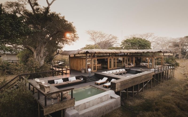 Wilderness Shumba