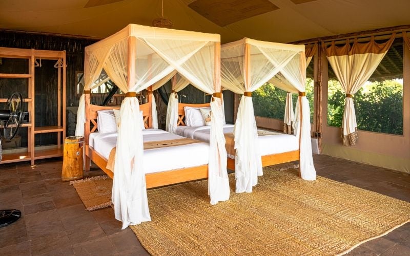 Soroi Cheetah Tented Camp
