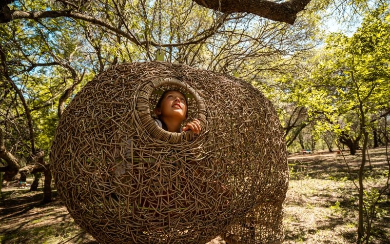 AfriCamps-Milorho-Nest