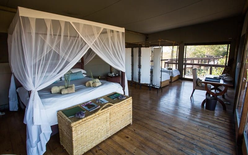 Wilderness Shumba