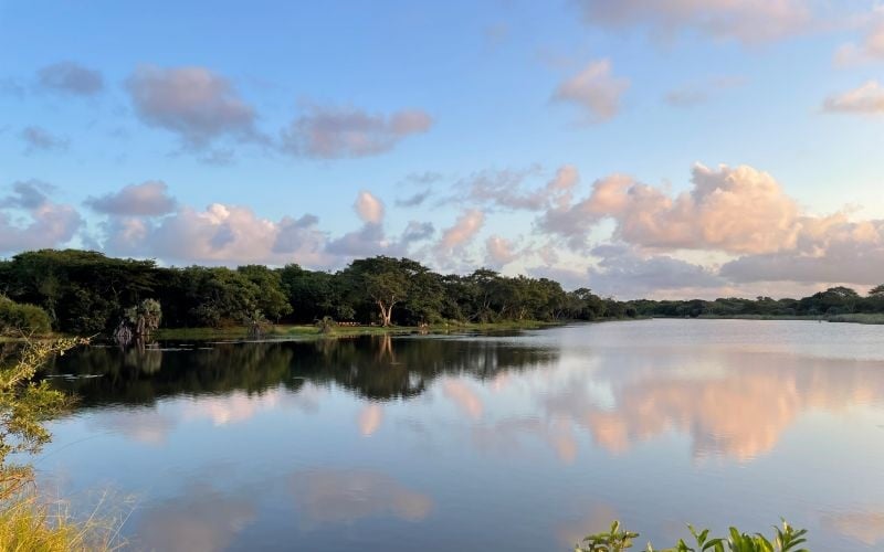 AfriCamps-Bonamanzi-Dam