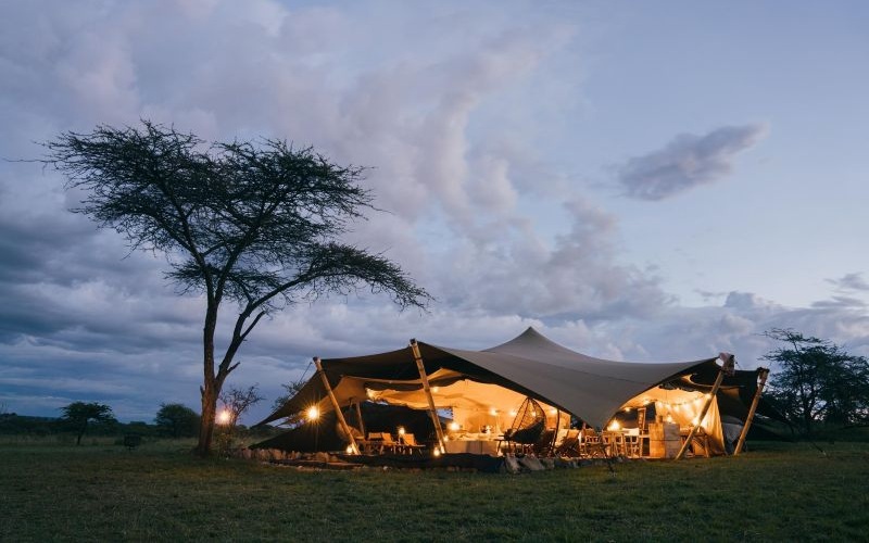 Wilderness Usawa Serengeti