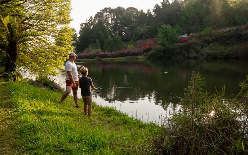 AfriCamps-Magoebaskloof-River
