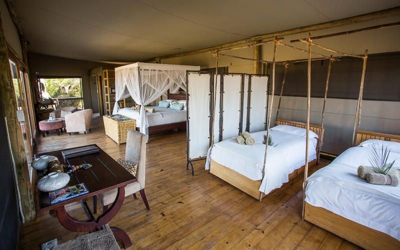 Wilderness Shumba