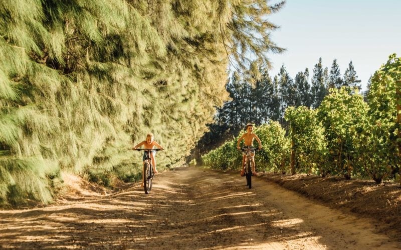 AfriCamps-Doolhof-Bike