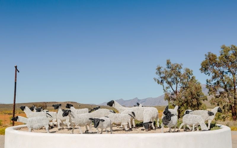 AfriCamps-Karoo,Hex-Sheep