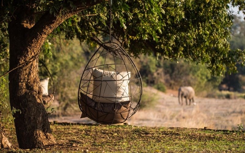 Wilderness Chikwenya