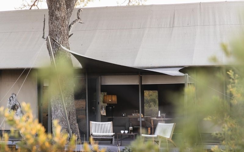 Wilderness Linkwasha