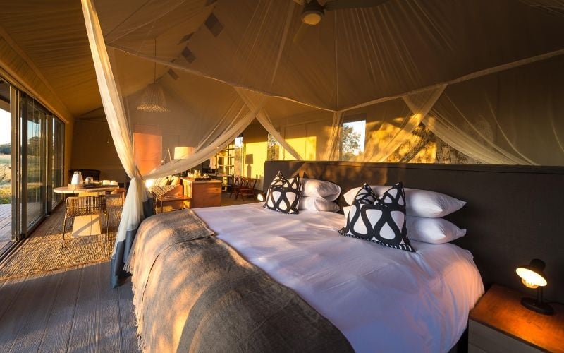 Wilderness Linkwasha