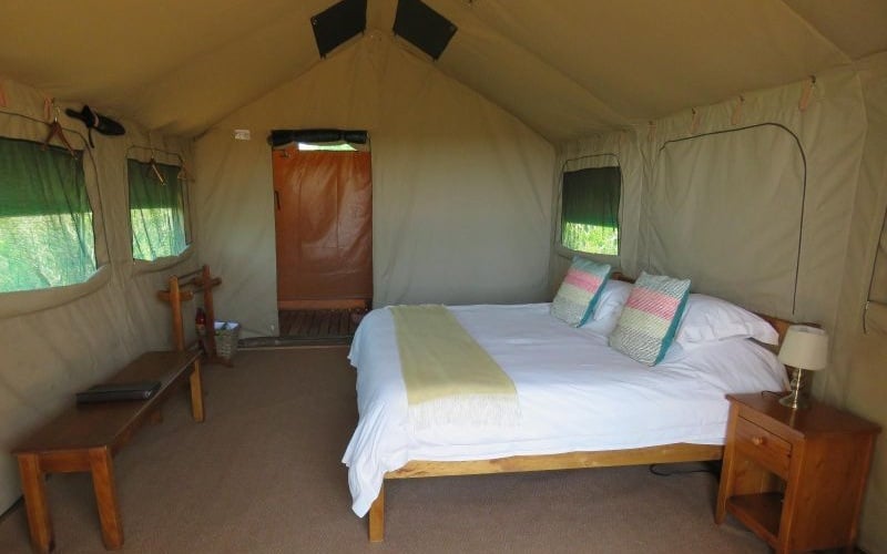 Woodbury tent 8