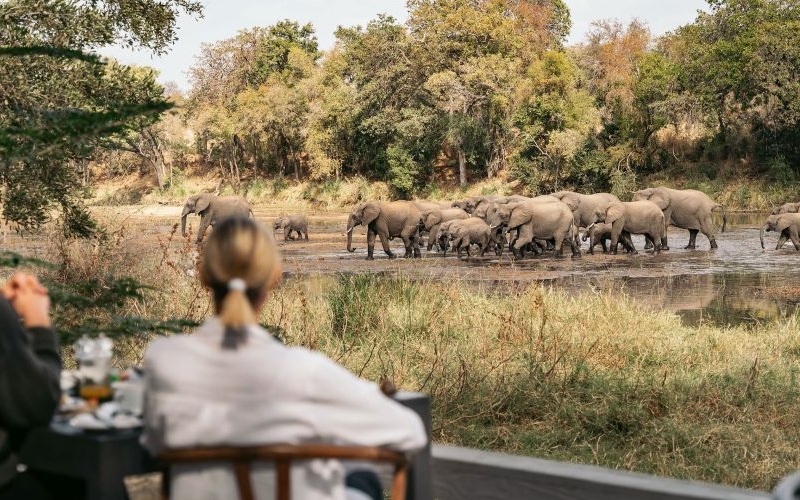 Simbavati River Lodge