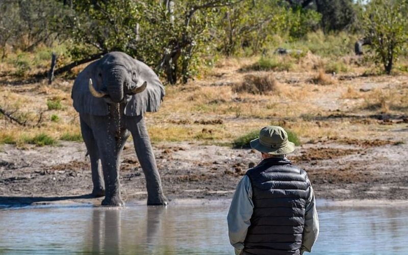 Simbavati Trails Camp