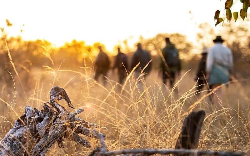 Simbavati Trails Camp