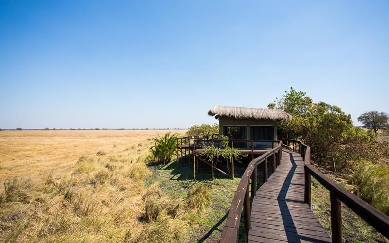 Wilderness Shumba