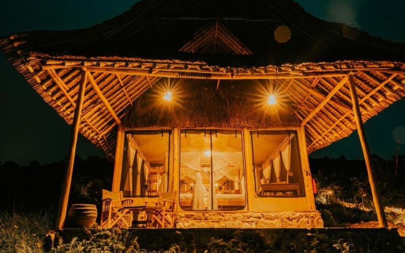 Soroi Cheetah Tented Camp