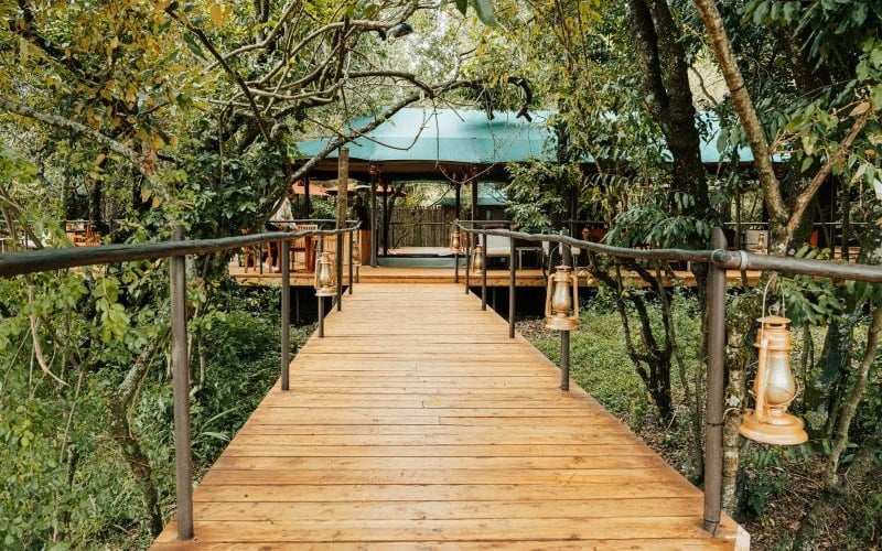 Soroi Luxury Migration Camp