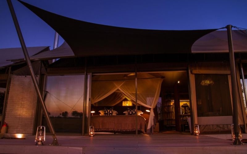 Wilderness Linkwasha