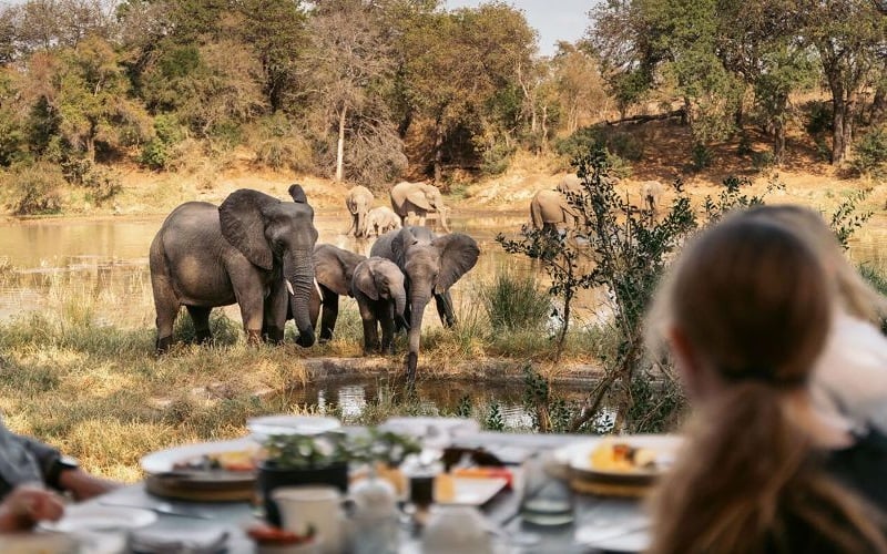 Simbavati River Lodge