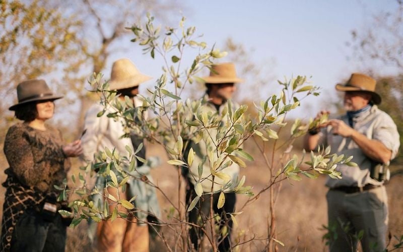 Simbavati Trails Camp